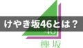 けやき坂46（ひらがなけやき）とは？